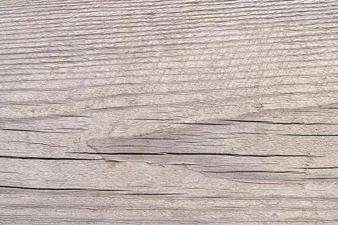 The surface of softwood, such as pine or spruce, has characteristic oblong .. Stock Photos