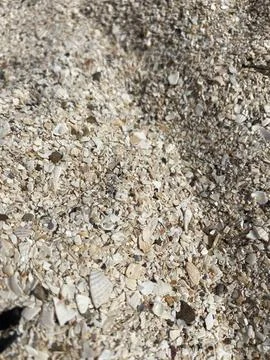 Surface of soil with small pebbles and shells. Beach background. Geological.. Stockfoto's