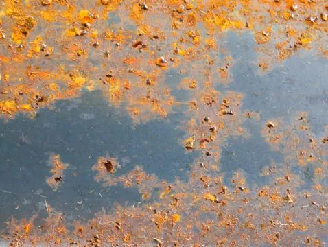 The surface of steel with rust. Stock Photos