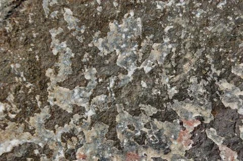 Surface of the stone. Background. Abstraction. Stock Photos