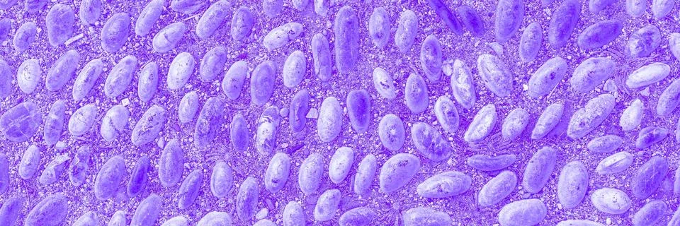The surface of the stone wall background. web banner. natural Stones pattern 스톡 사진