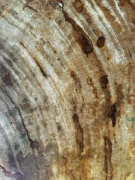 The surface of a stone wall with a spot of copper stain. 写真素材