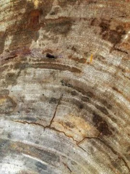The surface of a stone wall with a spot of copper stain. Stock Photos