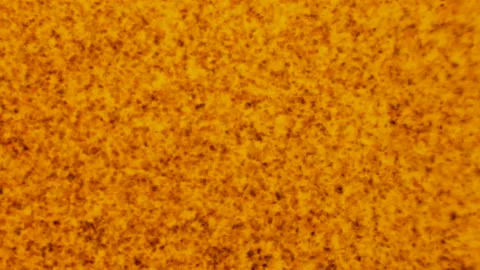 Surface of the sun star hot yellow and red texture of blood cells Video stock 217619230