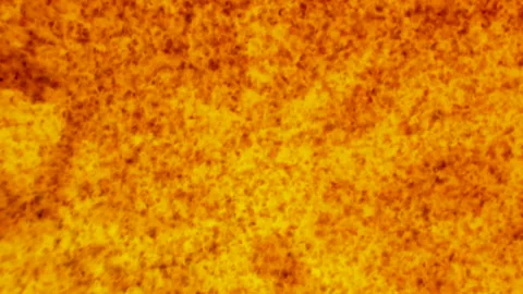 Surface of the sun star hot yellow red texture of blood cells microscopic body Video stock 217620468