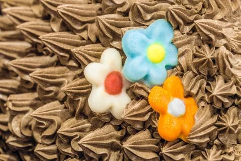 Surface of sweet dessert with patterns of chocolate cream Stock Photos