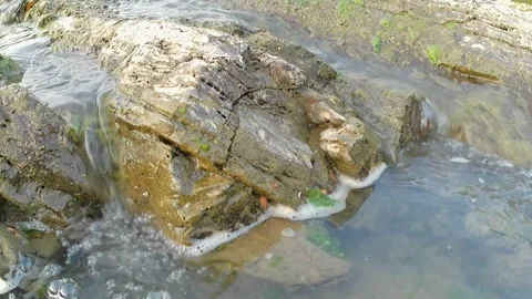 The surface of the Tajum River is shallow and there is green moss Stock Footage 242819248