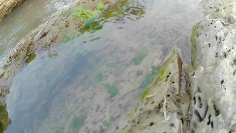 The surface of the Tajum River is shallow and there is green moss Stock Footage 242819669