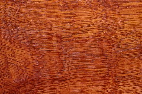 Surface of teak wood texture background copy space for your design or put on  Foto stock