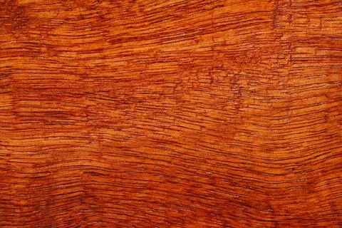 Surface of teak wood texture background copy space for your design or put on  Stock Photos