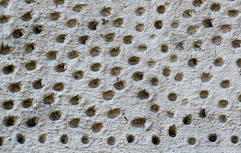 Surface texture background in gray with many holes Stock Photos