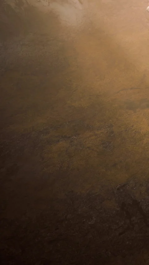 Surface texture of a brown material with natural patterns and reflections Stock Footage 345010018