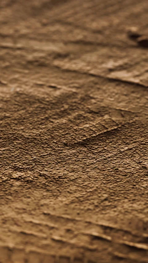 Surface texture of a brown rock in a natural setting during the day Stock Footage 346674409