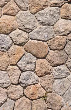 Surface texture built with irregularly shaped stones and a small plant Stock Photos