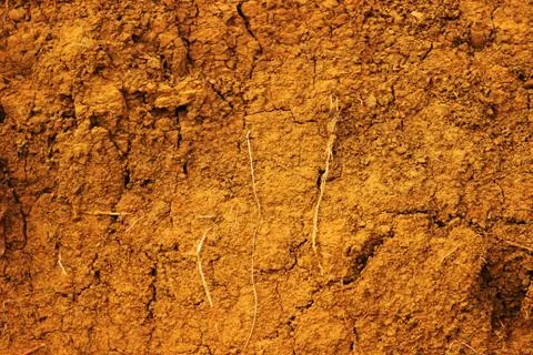 The surface texture of cracked soil on the side Stock Photos