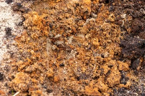 Surface texture of a mixture of sand and earth, close-up. Stock Photos