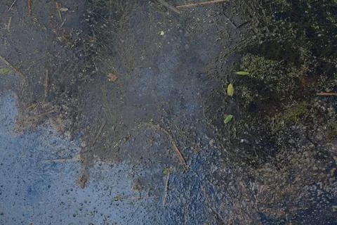 Surface texture of murky water Foto stock