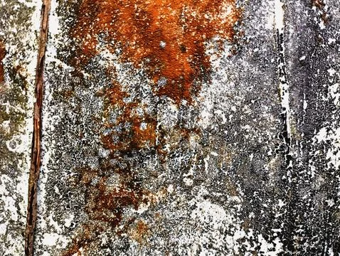 The surface texture of an old Stock Photos
