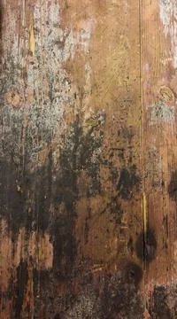 Surface texture of old wood Stock Photos