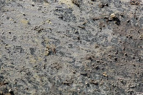 Surface texture smeared with swamp illuminated by sunlight. Stock Photos
