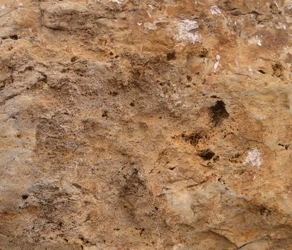 Surface texture of a stone from a maritime zone Stock Photos