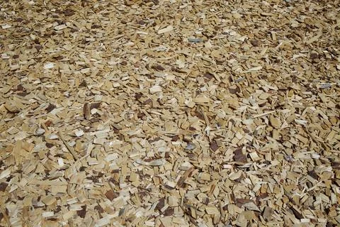 Surface texture with wood sawdust. Stock Photos