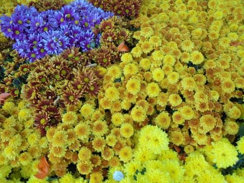 The surface of things Stock Photos