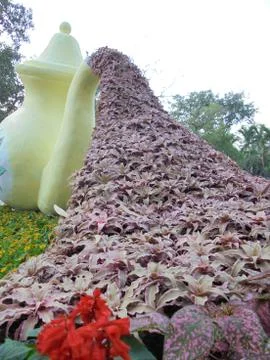 The surface of things Stock Photos