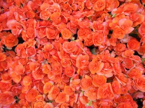 The surface of things Stock Photos