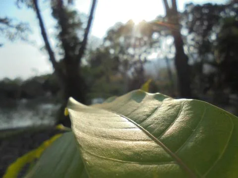 The surface of things Stock Photos