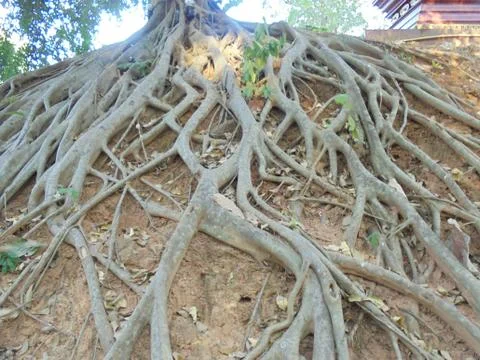 The surface of things Stock Photos