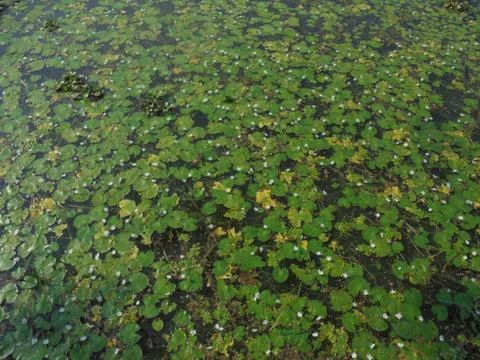 The surface of things Stock Photos