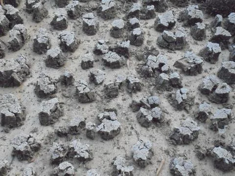 The surface of things Stock Photos