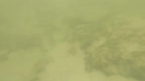 On surface tidal wave surf water dive down to muddy sandy low visibility sea oce Stock Footage 245442841