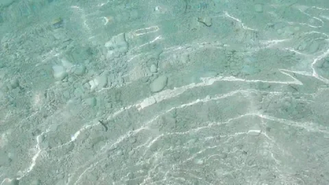 Surface of transparent limpid turquoise sea with white sandy seabed. Stock-Footage 81282300