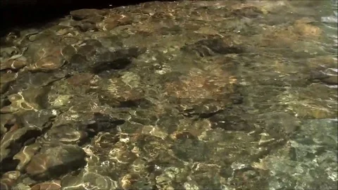 Surface of transparent natural water pool Stock Footage 93116271