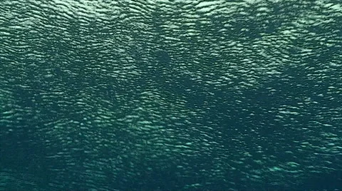 Surface underwater point of view Stock Footage 42904416