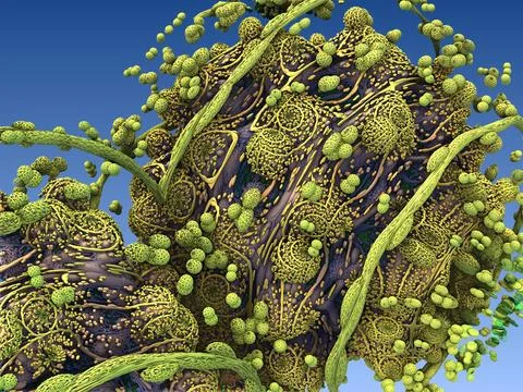 The surface of an virus in human body Stock Illustration