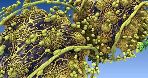 The surface of an virus in human body Stock Illustration