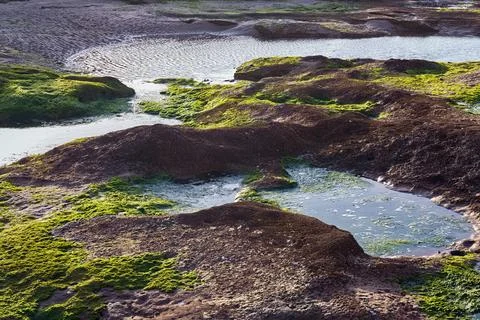 Surface of the volcanic shore of the Atlantic Ocean in the area of Essaouir.. Stock Photos