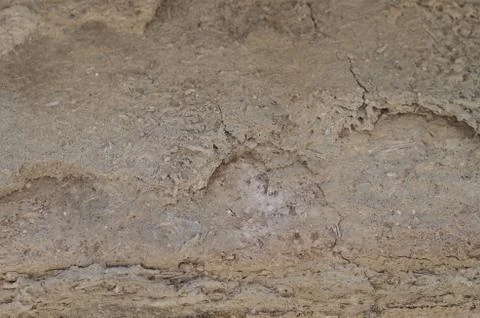 Surface of wall detail construction method traditional kyoto house japan Stock Photos