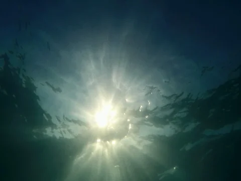 Surface of water and sun rays in the sea depths. Romantic underwater survey Stock Footage 77911849
