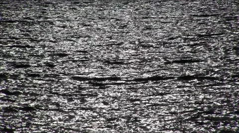 Surface water in the backlight Stock Footage 8663586