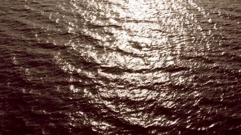 Surface of the water at dawn Video stock 79733746