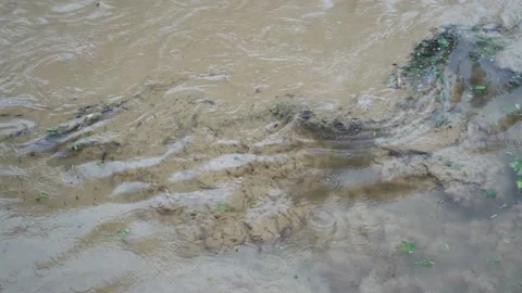 On the surface of the water, during rain, mud, silt and sand rise from the Video stock 143146779