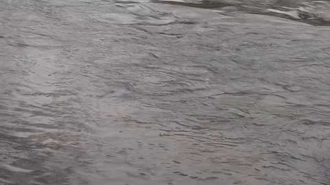 The surface of the water, the flow of the river Video stock 73677169