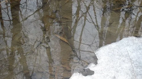 Surface of water flowing in brook with melting ice in spring Stock Footage 47117302