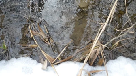 Surface of water flowing in brook with melting ice in spring Stock Footage 47179064