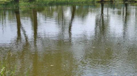 The surface of the water Stock Footage 68797598