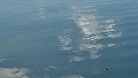 The surface of the water Stock Footage 76450533
